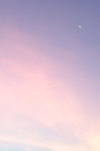 法国跆拳道选手夺冠成功，队员欢呼庆祝——荣耀背后的人与情感