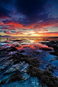 强者争霸，实力碾压对手