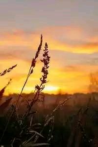 雷恩力争主场取胜昂热，拒绝被逆袭